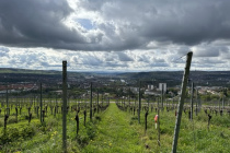 Fruehjahrsspaziergang_2023_04_05