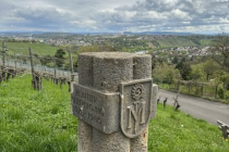Fruehjahrsspaziergang_2023_04_11