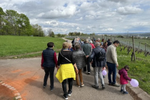 Fruehjahrsspaziergang_2023_04_15