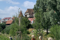 Gartenschau_Balingen_2023_02