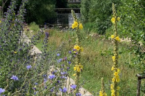 Gartenschau_Balingen_2023_03