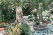 Gartenschau_Eppingen_2022_04