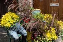 Gartenschau_Eppingen_2022_07