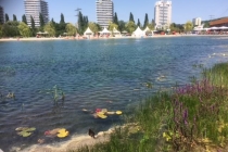 Landesgartenschau_2018_07