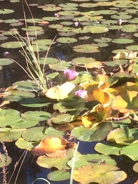 Tagesausflug_Oktober_2018_7