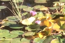 Tagesausflug_Oktober_2018_7