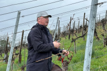 Vereinsweinberg_2023-03_05