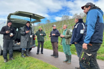 Vereinsweinberg_2023-03_09