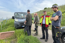 Vereinsweinberg_2023-05_01