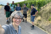 Vereinsweinberg_2023-07_11_15