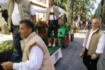 Volksfestumzug_2015_27