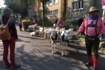Volksfestumzug_2017_04