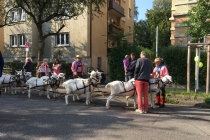 Volksfestumzug_2017_05