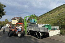 Weinlese_2023-10-03_08