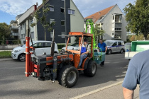 Weinlese_2023-10-03_10