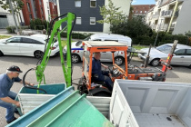 Weinlese_2023-10-03_13