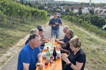 Weinlese_2023-10-03_17